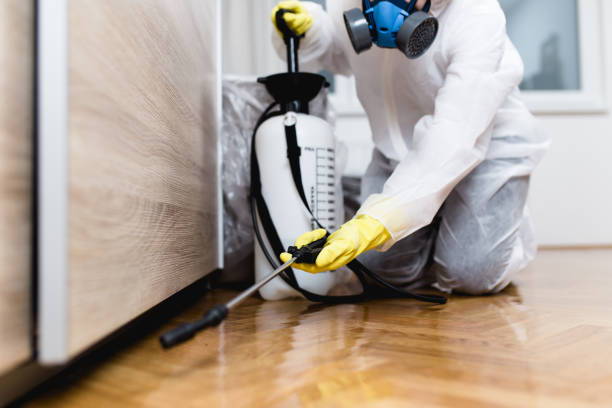 Best Pest Prevention Services  in Pixley, CA