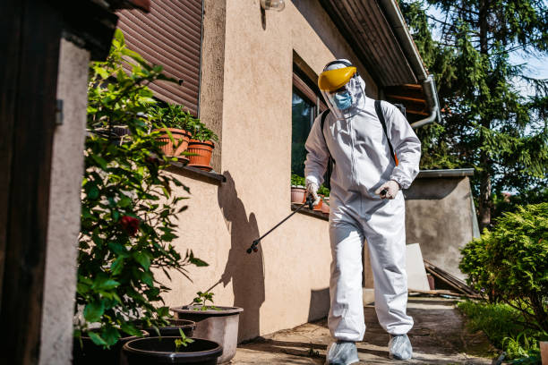 Best Termite Control Services  in Pixley, CA