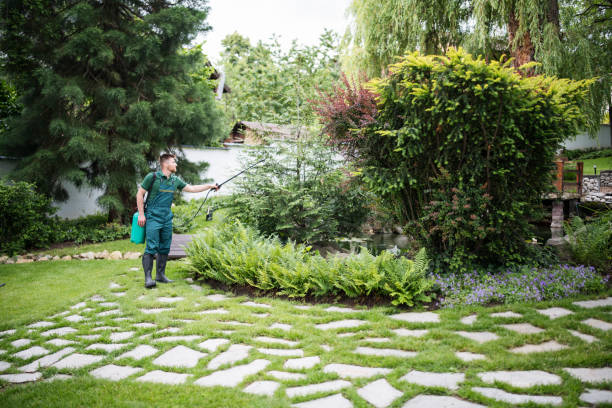 Best Termite Control Services  in Pixley, CA