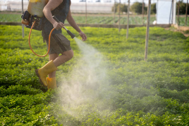 Best Emergency Pest Control  in Pixley, CA