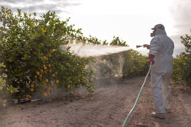 Reliable Pixley, CA Pest Control Solutions