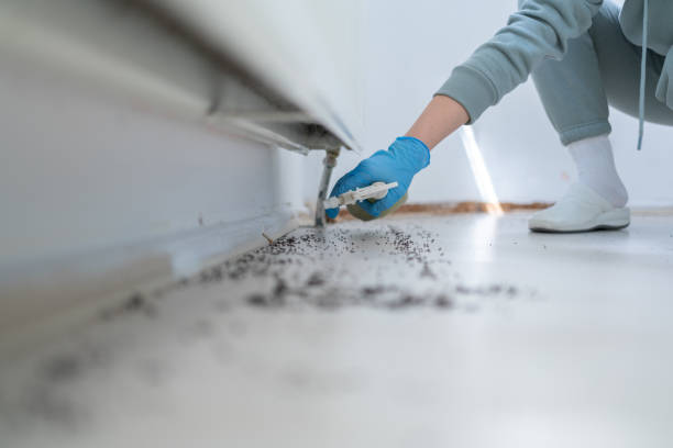 Best Flea Control Services  in Pixley, CA